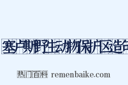 塞卢斯野生动物保护区造句是什么意思的图片